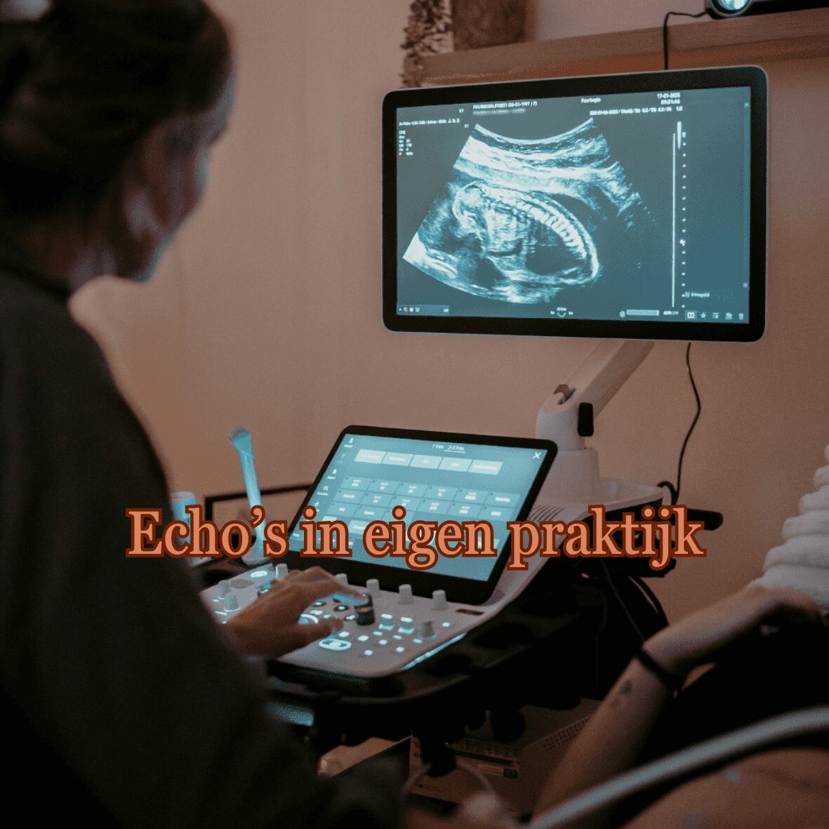 Echos-in-eigen-praktijk-4.png