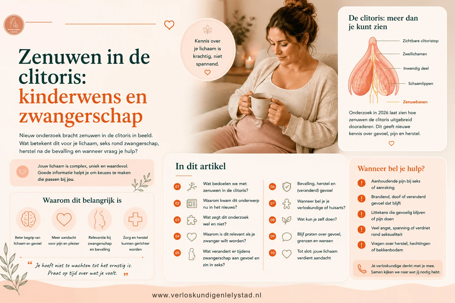 Zenuwen in de clitoris: kinderwens en zwangerschap